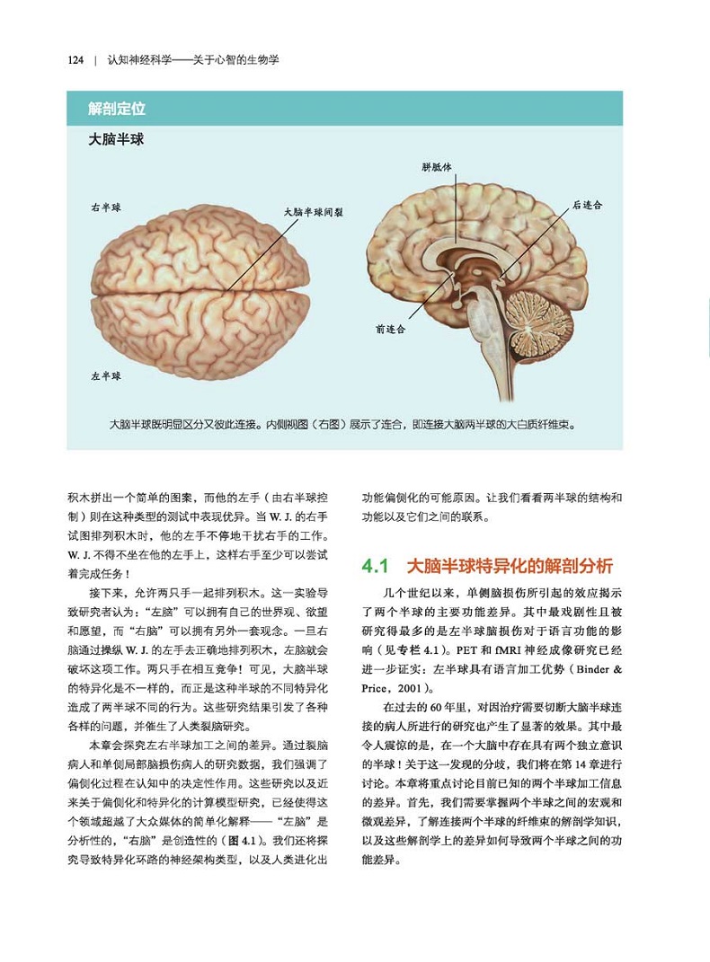 1783389572189708.jpg