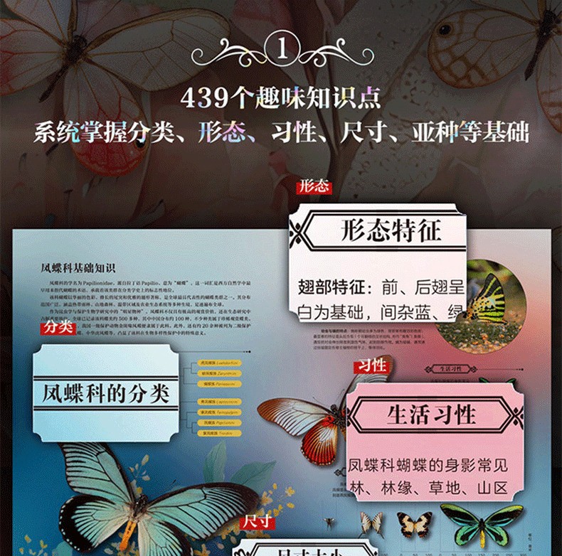 1784875684276369.jpg