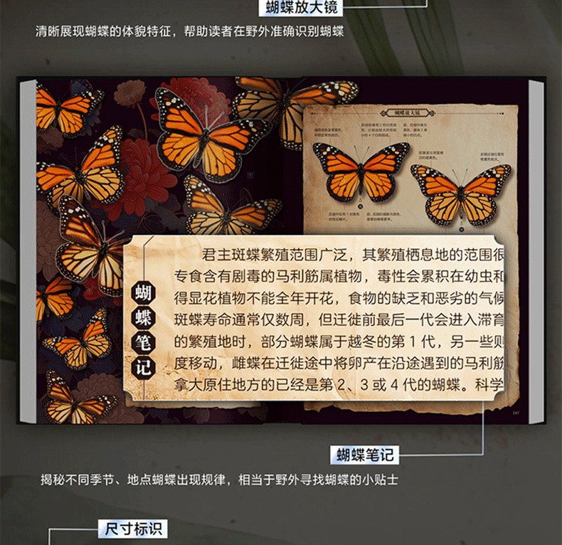 1784875688801909.jpg