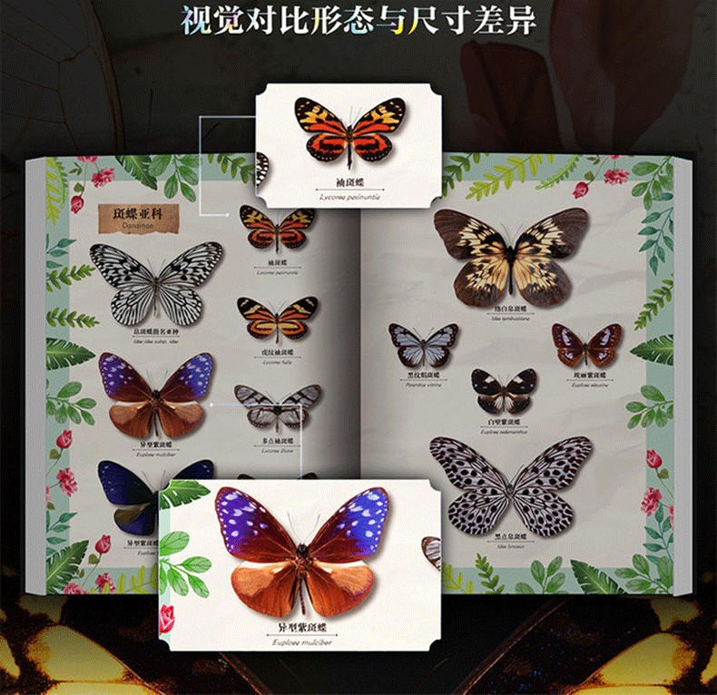 1784875690313693.jpg