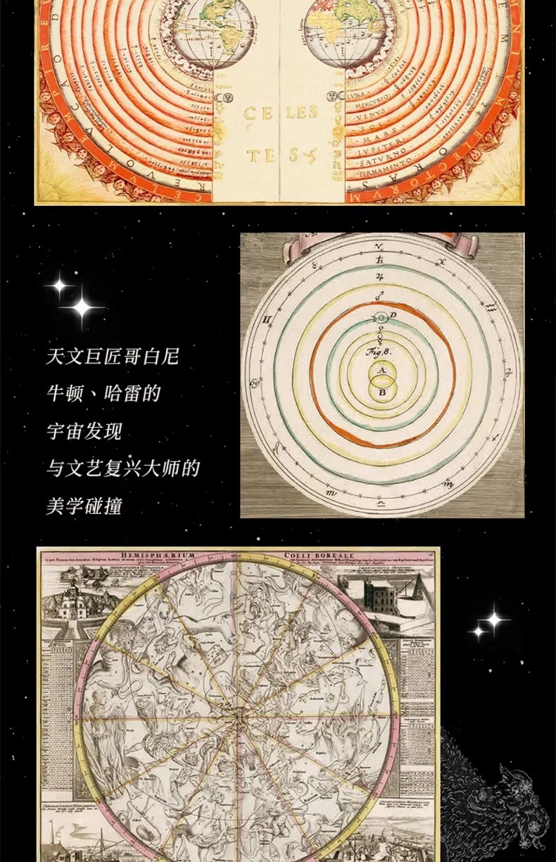 1785031569417440.jpg