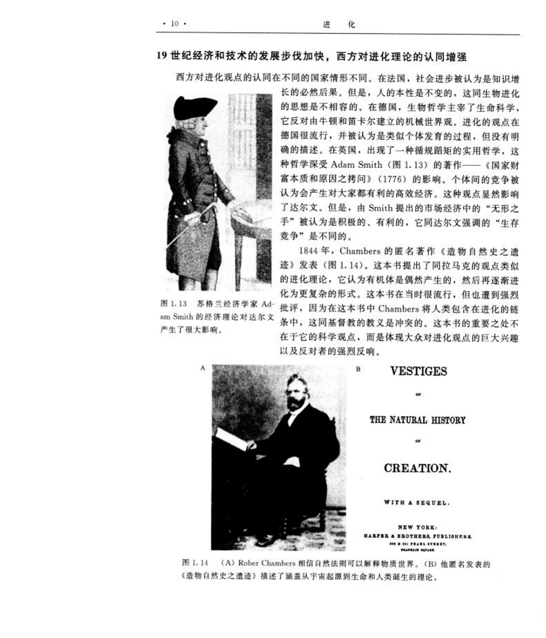 1785314456806501.jpg