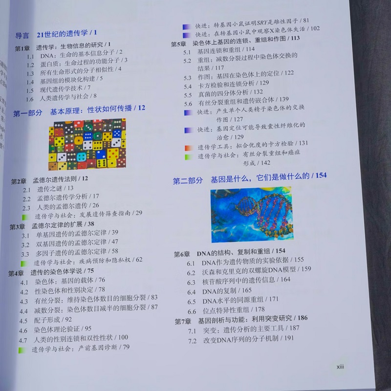 1785330823417036.jpg